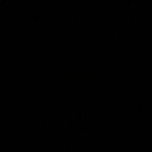 Meet your Posher, Bernard